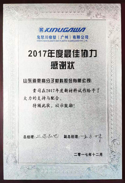 Appreciation Award-Best Teamwork of The Year, Kinugawa Rubber and Plastic (Guangzhou) Co., Ltd.