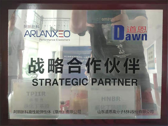 Arlanxeo Strategic Partner CERTIFICATE OF DRUG MASTER FILE(DMF)